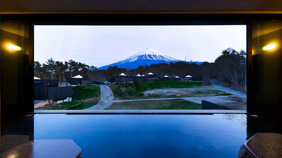 THE SENSE FUJI