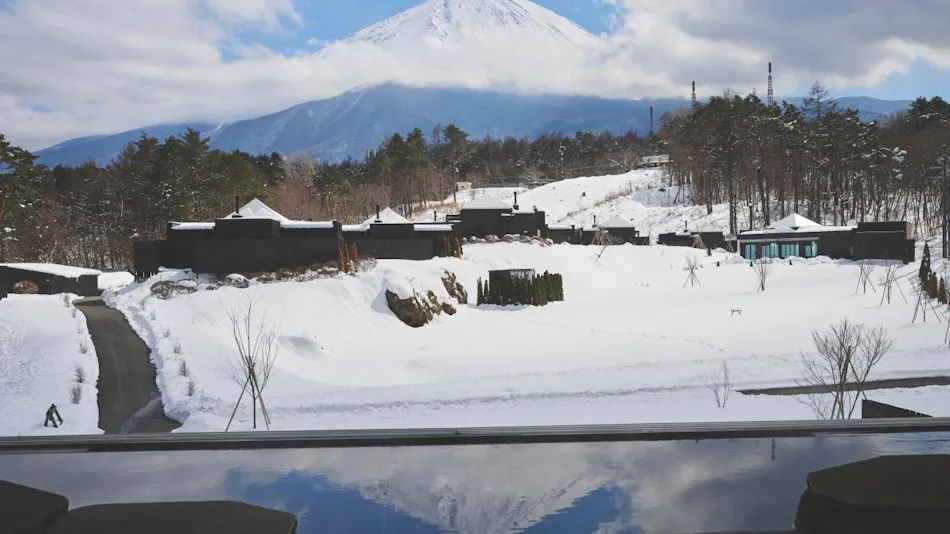 THE SENSE FUJI