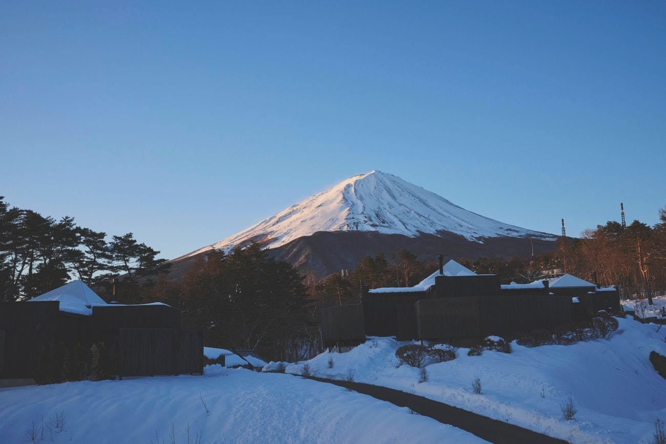 THE SENSE FUJI