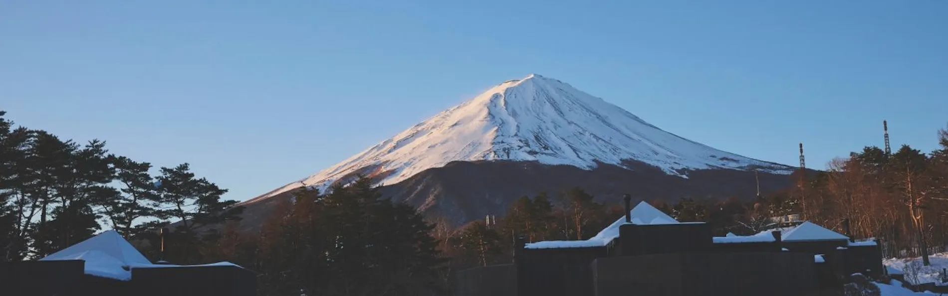 THE SENSE FUJI