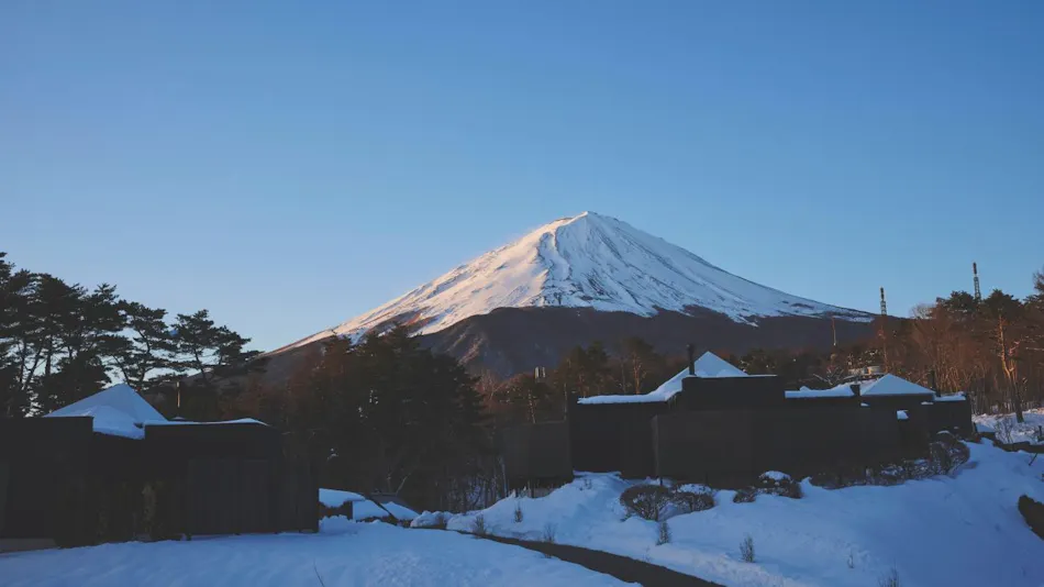 THE SENSE FUJI