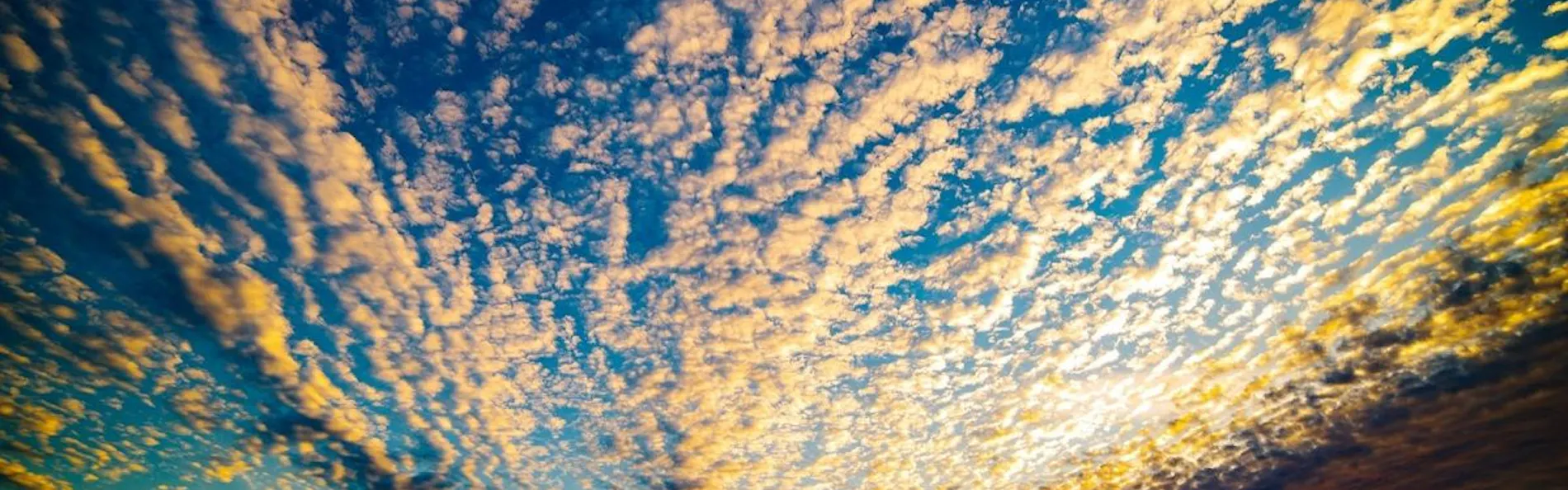 グランドメルキュール和歌山みなべリゾート&スパ