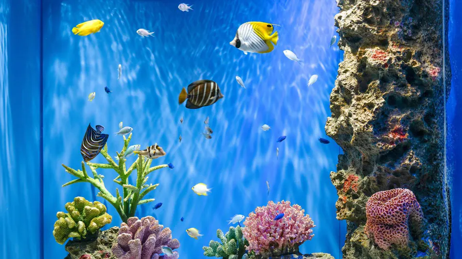 Kobe Suma Sea World Hotel