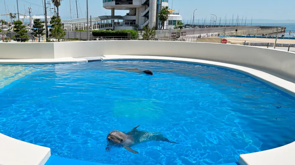Kobe Suma Sea World Hotel