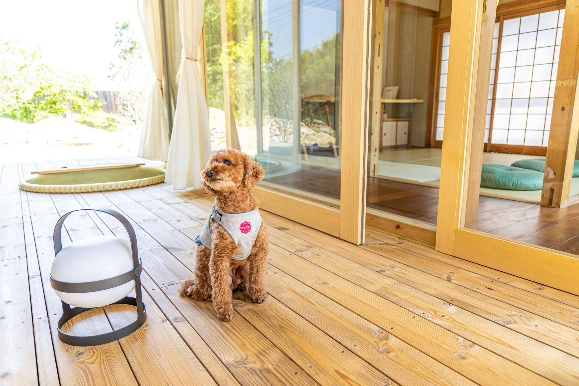 ค่าทำความสะอาดสัตว์เลี้ยง