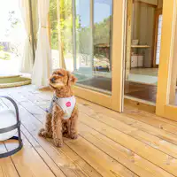 ค่าทำความสะอาดสัตว์เลี้ยง