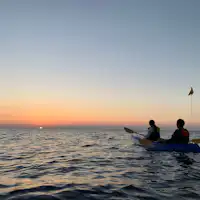 กิจกรรม