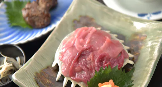 津房川コース すっぽんのお刺身が付いたご夕食で宿泊するプラン 2食付