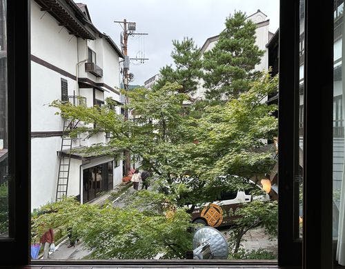 しゃくなげの眺望