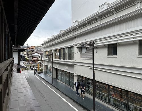 しゃくなげ・つつじの眺望