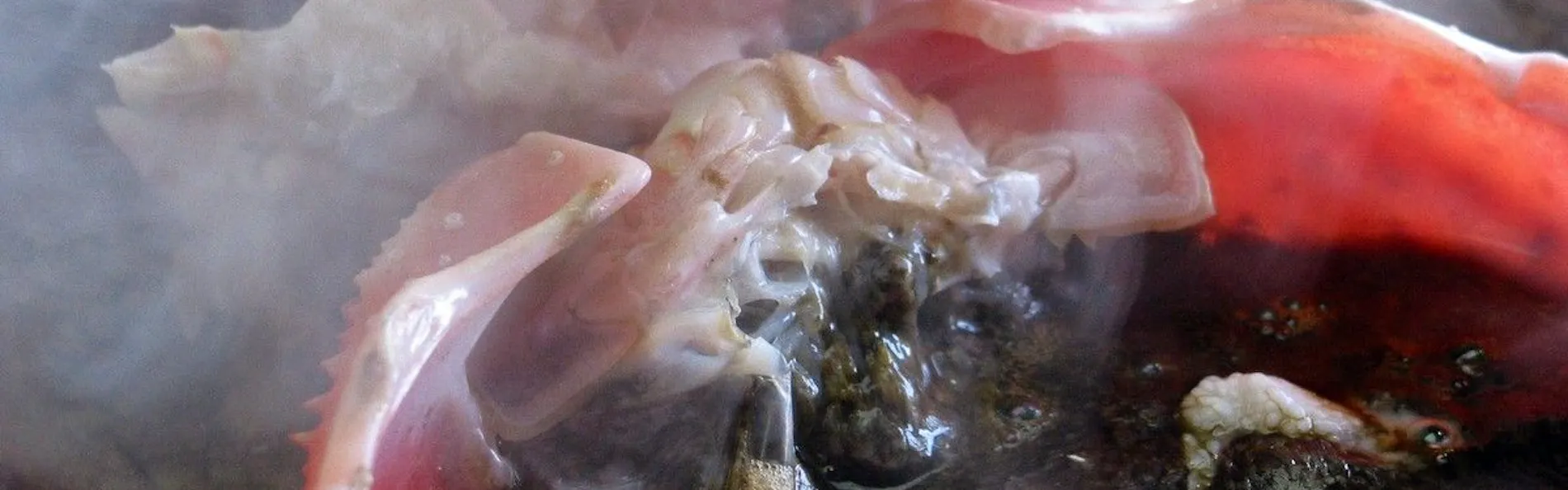 KITAMAE BASE 加賀橋立
