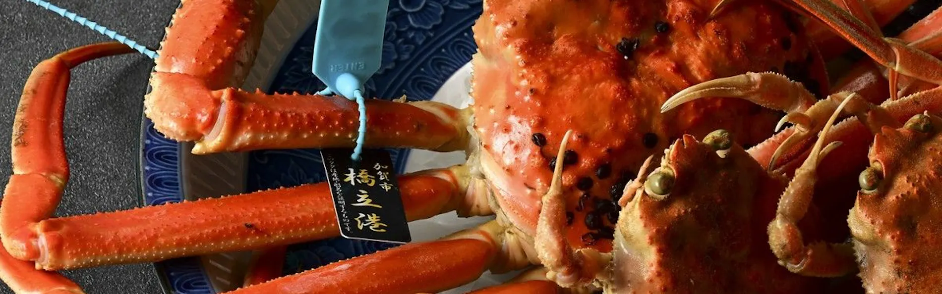 KITAMAE BASE 加賀橋立