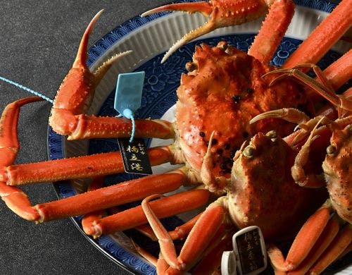 橋立蟹イメージ