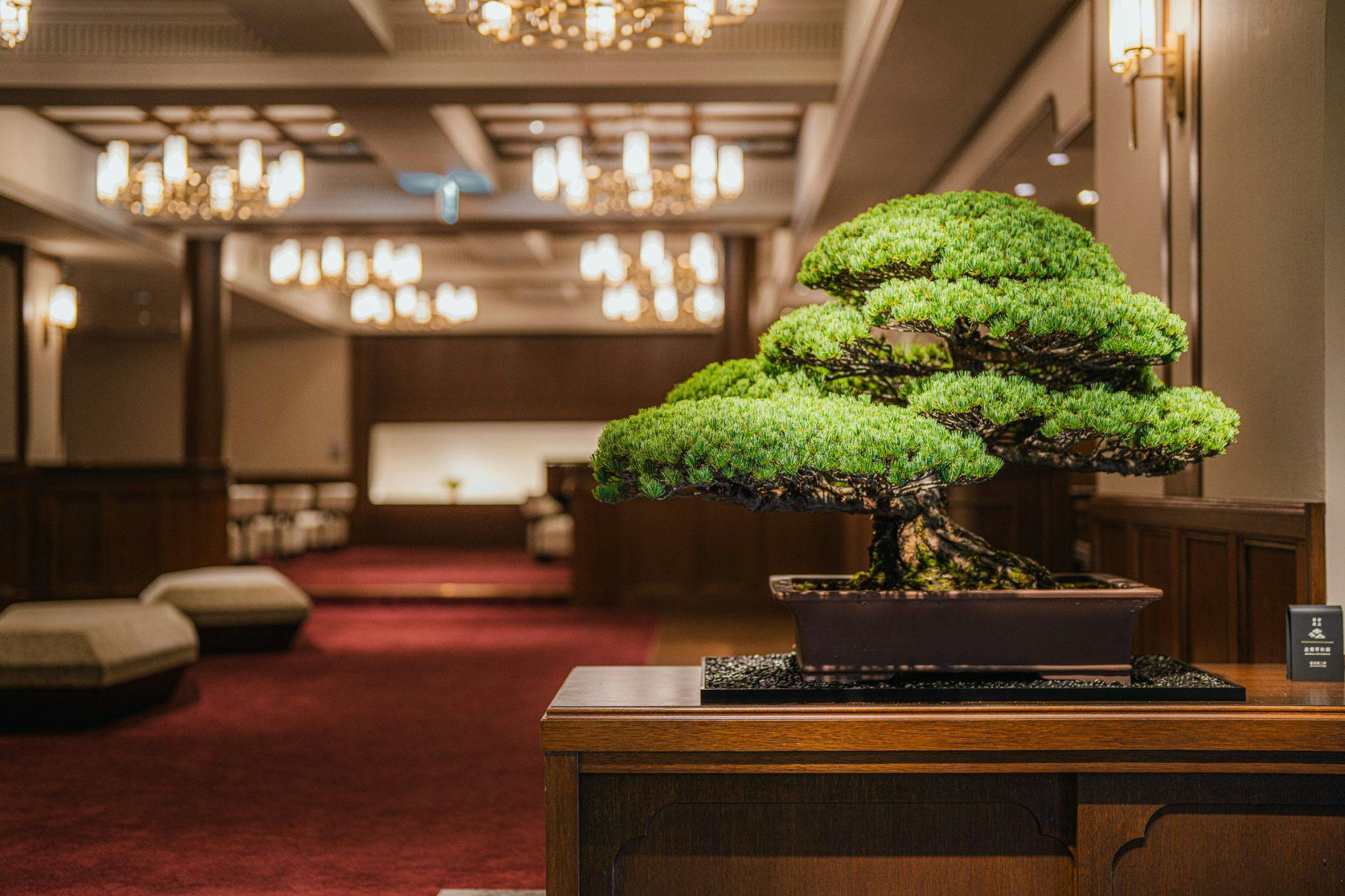 深山 -Shinzan-