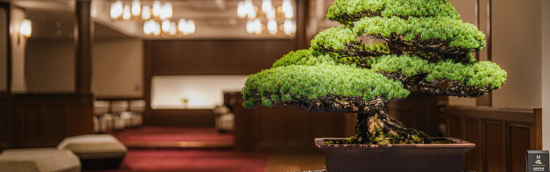 深山 -Shinzan-