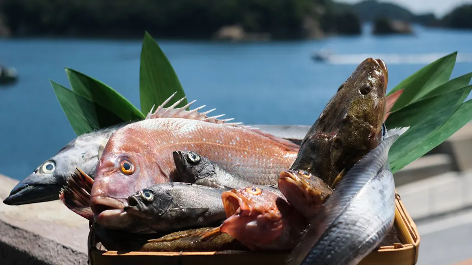 Keishokan Sazanamitei