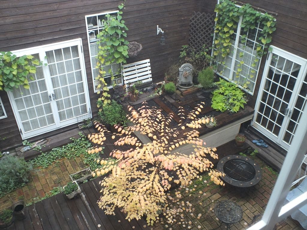 ノスタルジックな雰囲気の館内　７