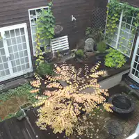 ノスタルジックな雰囲気の館内 7