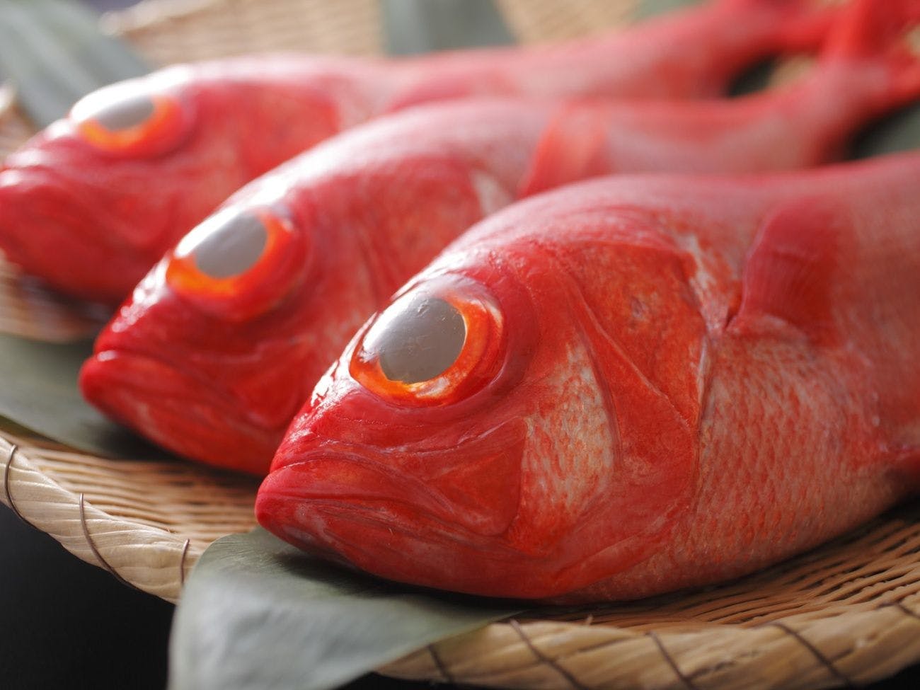 熱海温泉 湯宿一番地
