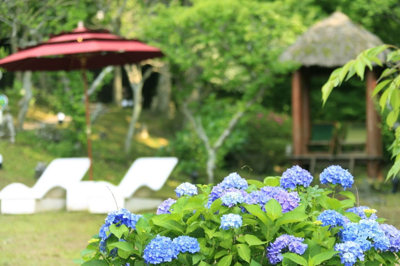 アンダの森　伊豆いっぺき湖