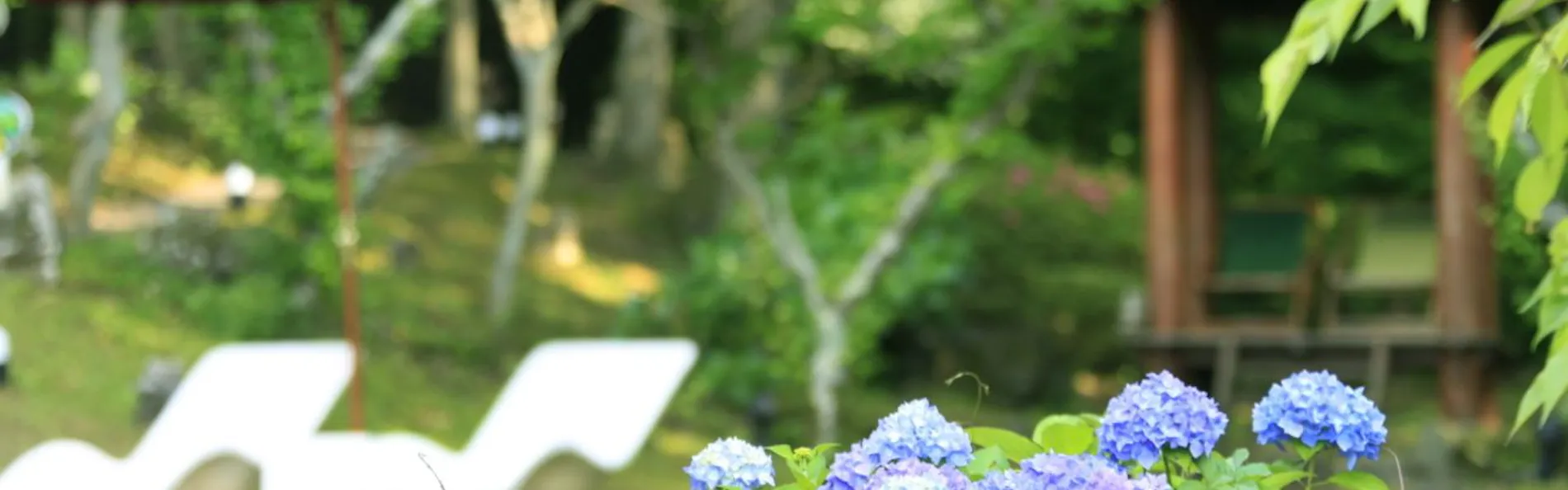 アンダの森 伊豆いっぺき湖