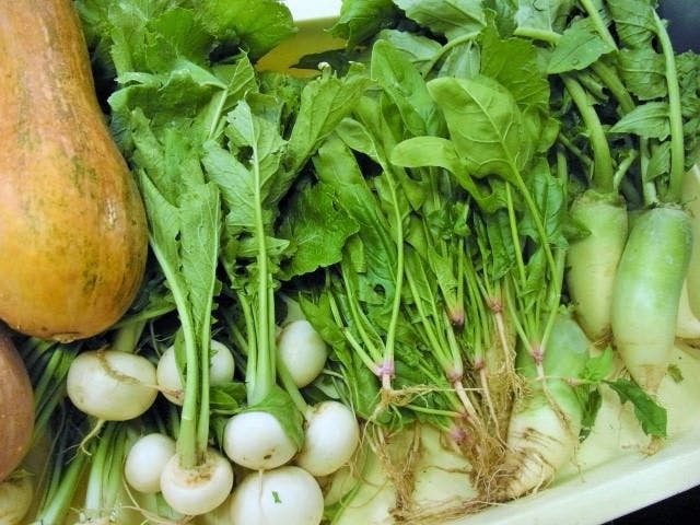 天城温泉 禅の湯