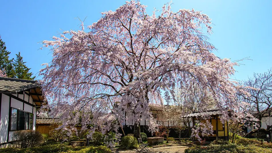 Satoyama Onsen Hatagoya Maruichi ~ A Retreat of 17 Detached Rooms to Enjoy the Extraordinary ~