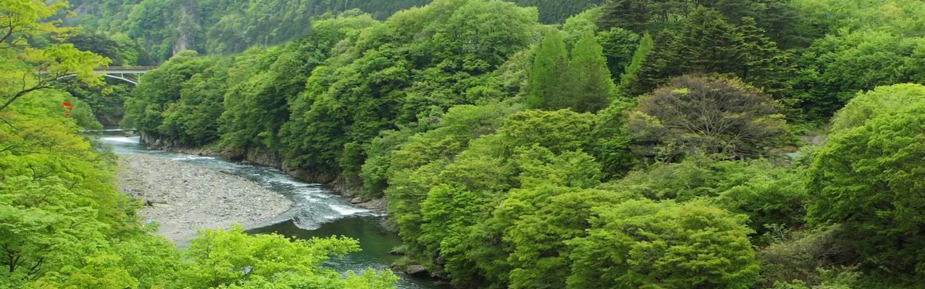 静寂とまごころの宿 七重八重