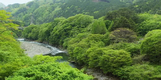 静寂とまごころの宿 七重八重