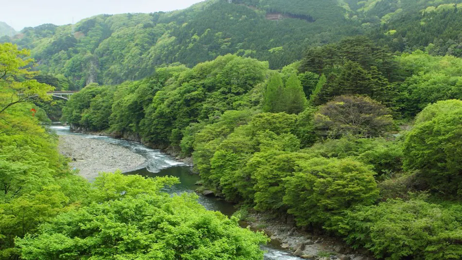 Inn of Serenity and Sincerity, Nanae Yae