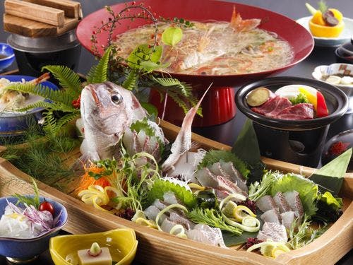 【春季限定】メデ鯛祝泊プラン