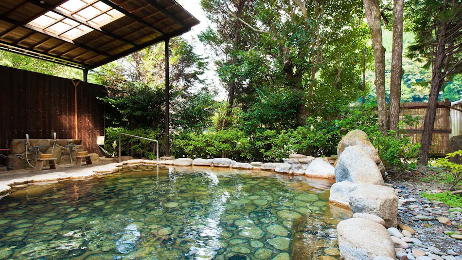 Yumeguri no Yado Watarase Onsen Hotel Sasayuri