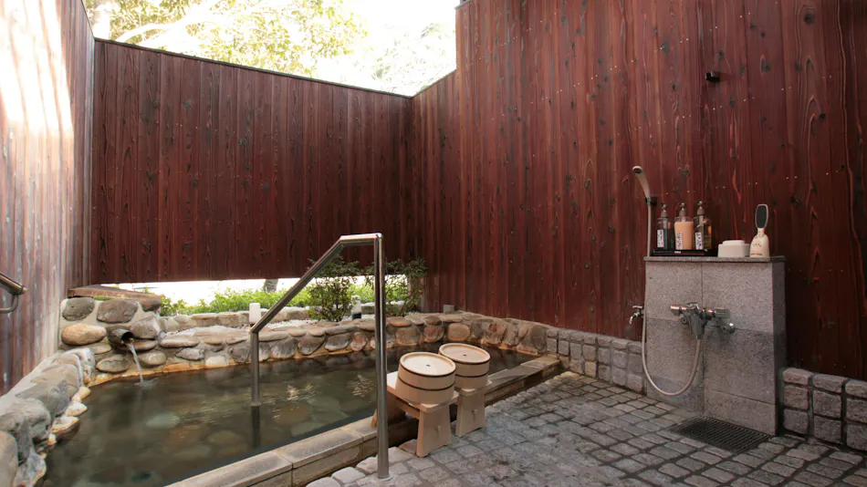 Yumeguri no Yado Watarase Onsen Hotel Sasayuri