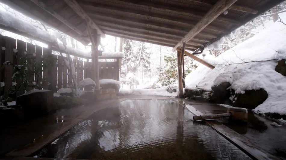 Ryokan Oonuma