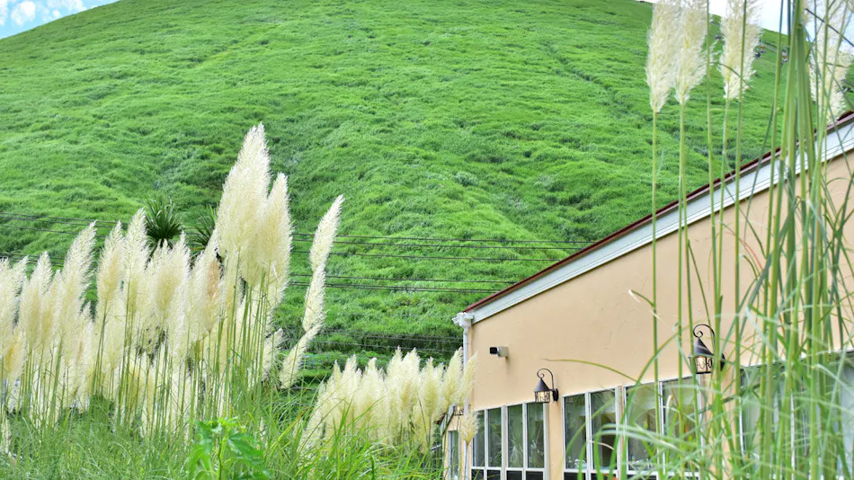 Petit Hotel Izu Shaboten Village
