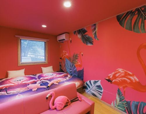 フラミンゴルーム誕生！