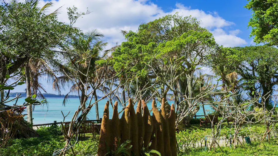 The Moon Beach Museum Resort