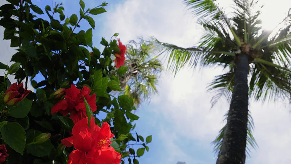 The Moon Beach Museum Resort