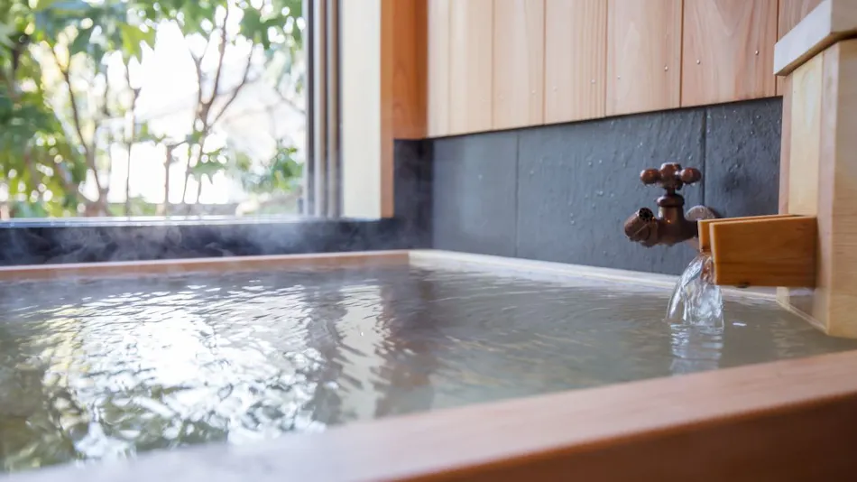 Asama Onsen Fujinoyu