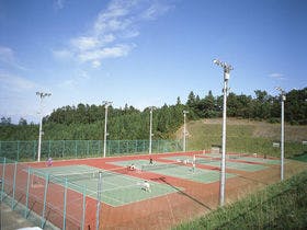 星と森のロマントピア 星の宿白鳥座