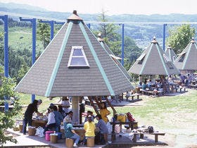 星と森のロマントピア 星の宿白鳥座