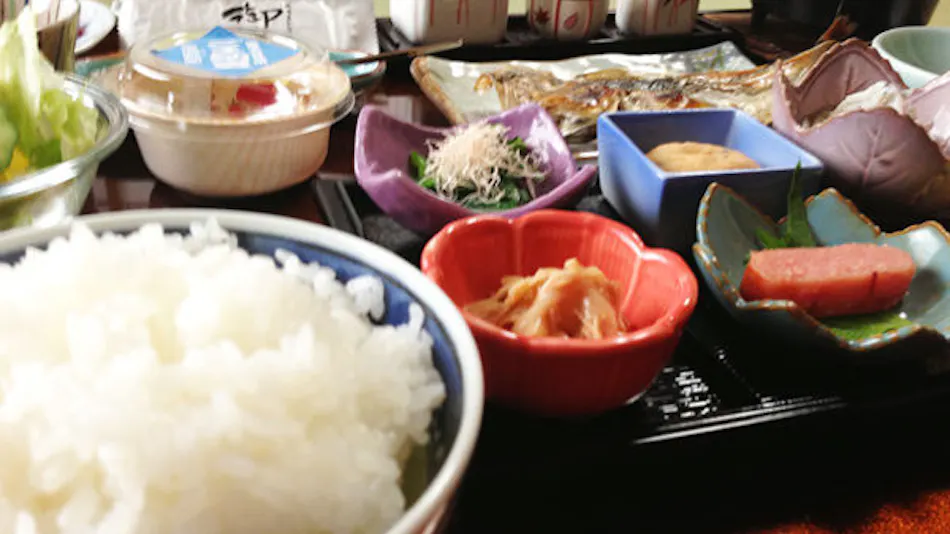 Ryokan Miyuki Onsen
