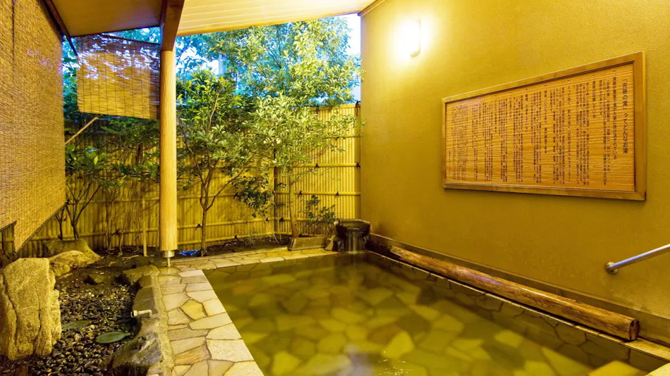 Ryokan Miyuki Onsen