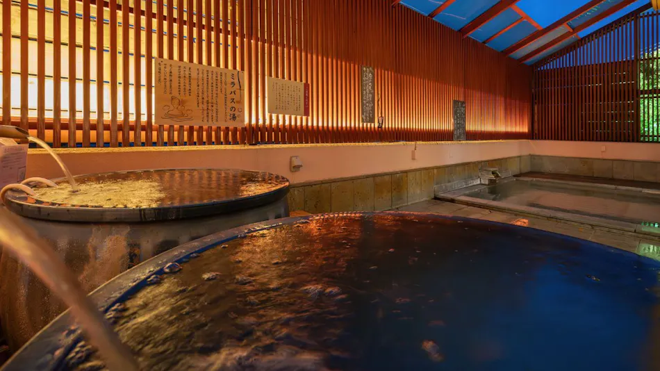 Yamashiro Onsen Houshoutei