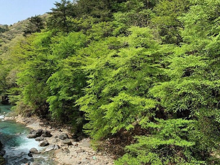 四万温泉　やまぐち館
