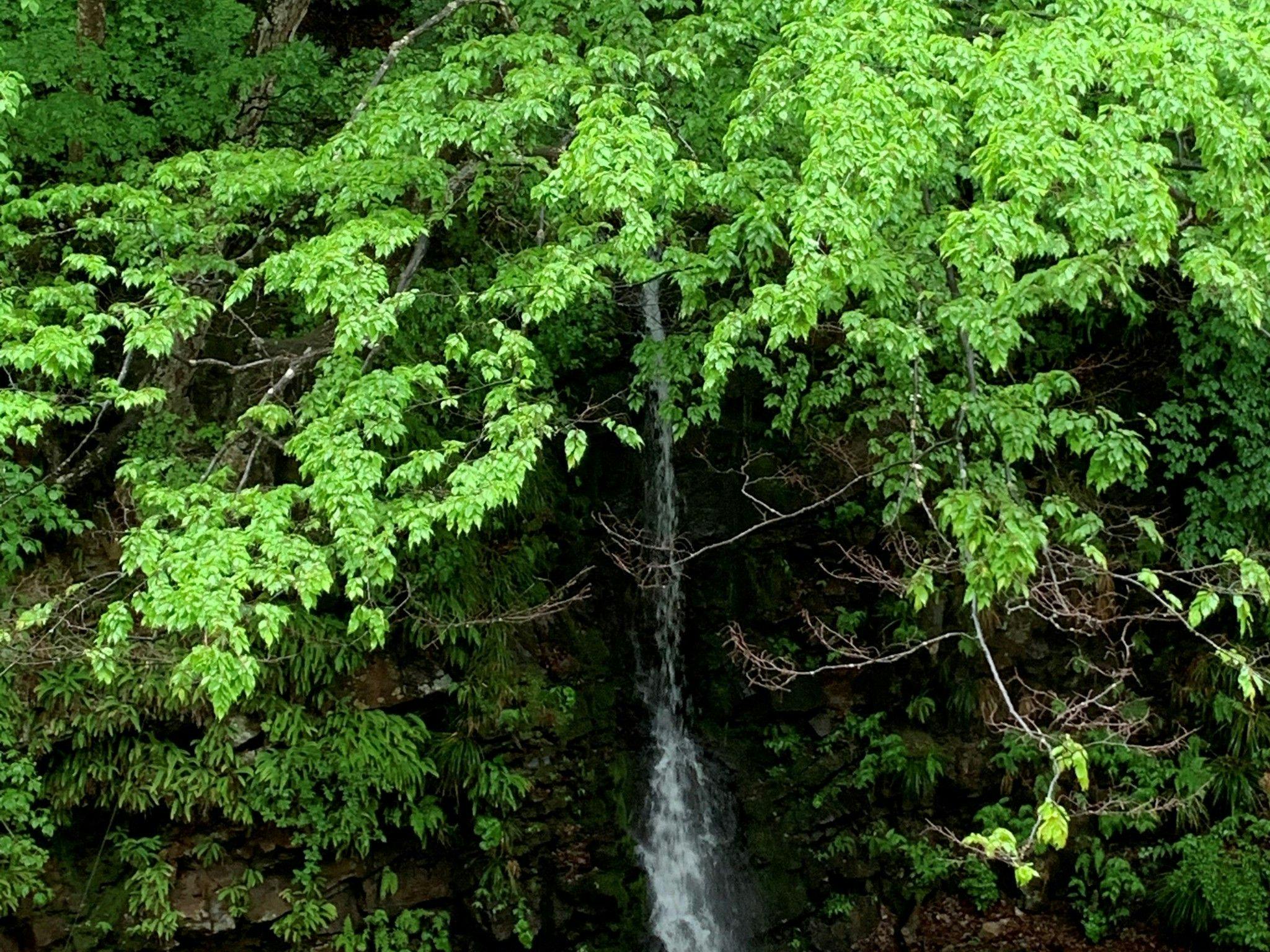 四万温泉　やまぐち館