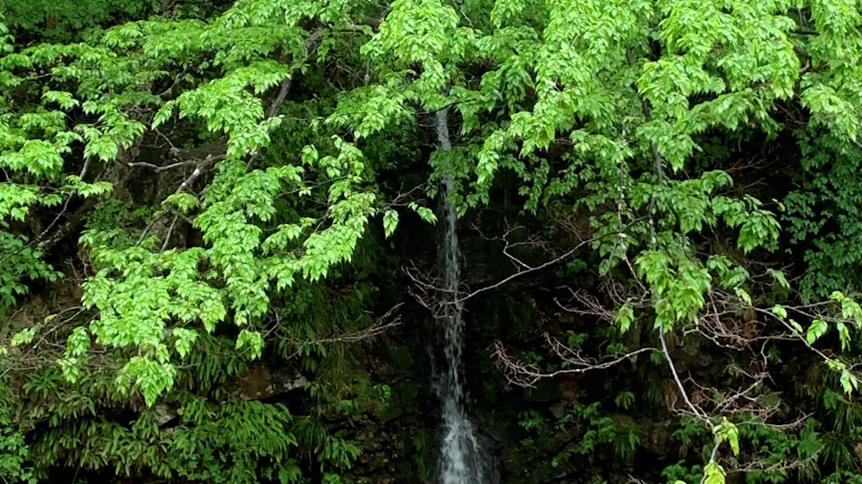 Shima Onsen Yamaguchi-kan