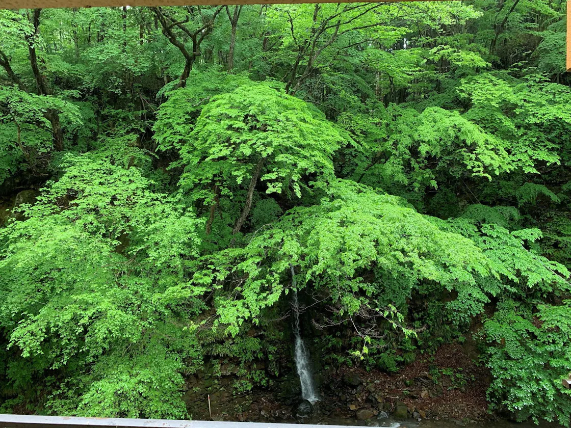 客室から望む【蝉泣きの滝】