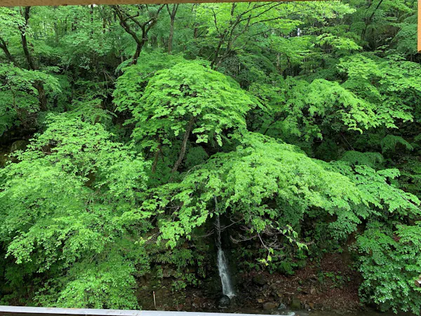 客室から望む【蝉泣きの滝】