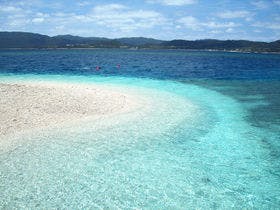 ティンヌカーラ